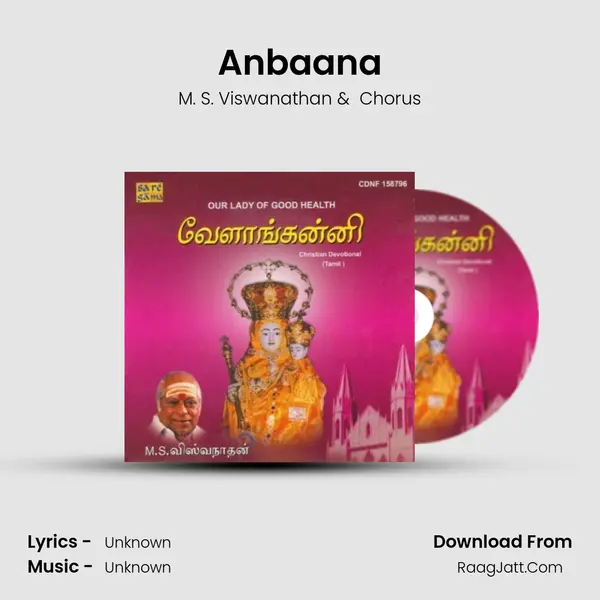 Anbaana MP3 Song by M. S. Viswanathan Cover