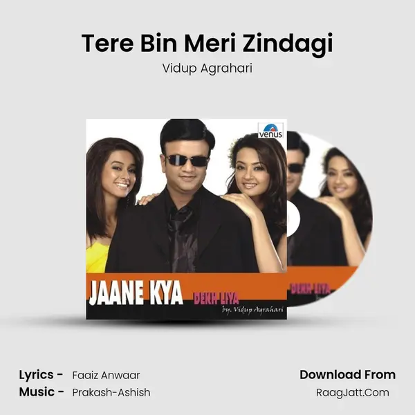 Tere Bin Meri Zindagi MP3 Song by Vidup Agrahari Cover