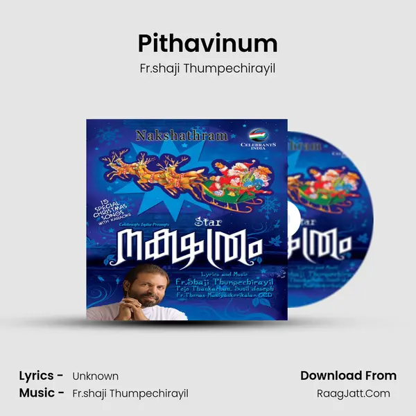 Pithavinum MP3 Song by Fr.shaji Thumpechirayil Cover
