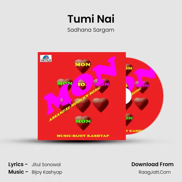 Tumi Nai MP3 Song by Sadhana Sargam Cover