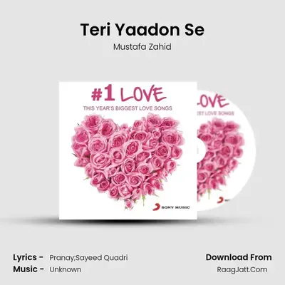 Teri Yaadon Se Cover