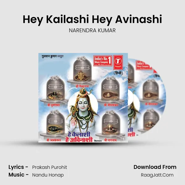Hey Kailashi Hey Avinashi MP3 Song by NARENDRA KUMAR Cover