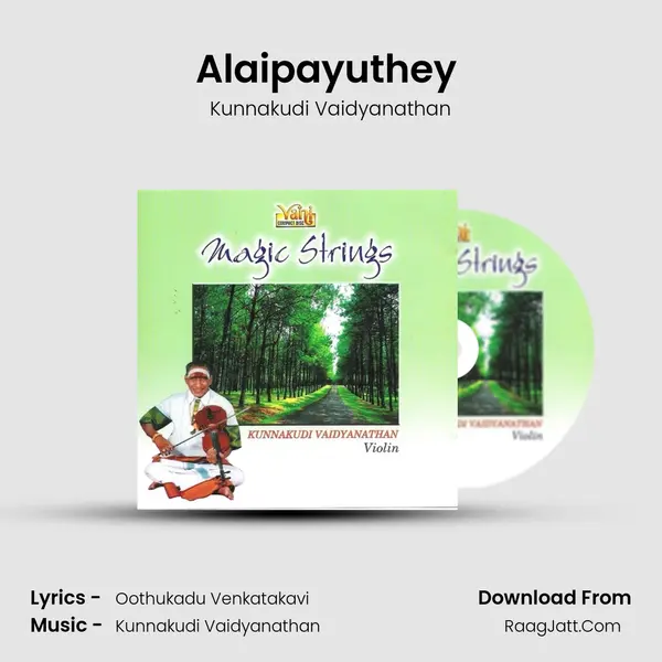 Alaipayuthey (Kunnakudi Vaidyanathan) MP3 Song by Kunnakudi Vaidyanathan Cover