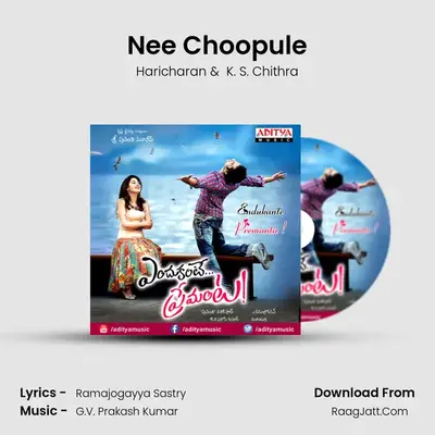 Nee Choopule MP3 Song by Haricharan Cover