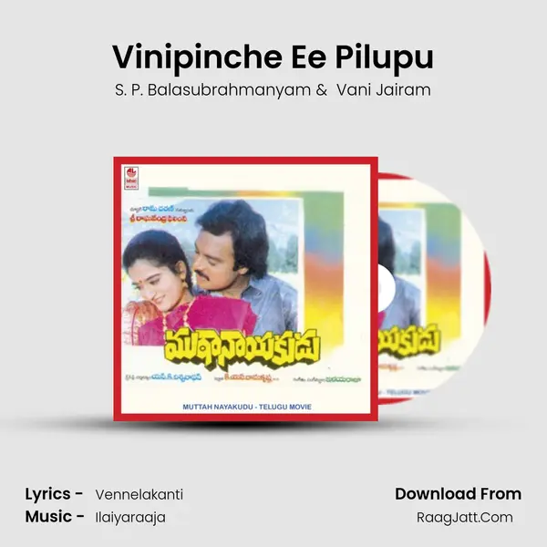 Vinipinche Ee Pilupu MP3 Song by S. P. Balasubrahmanyam Cover