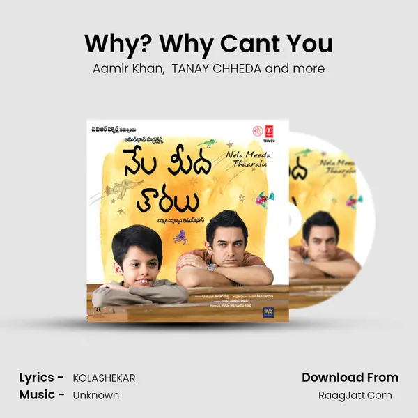 Why? Why Can't You MP3 Song by Aamir Khan Cover