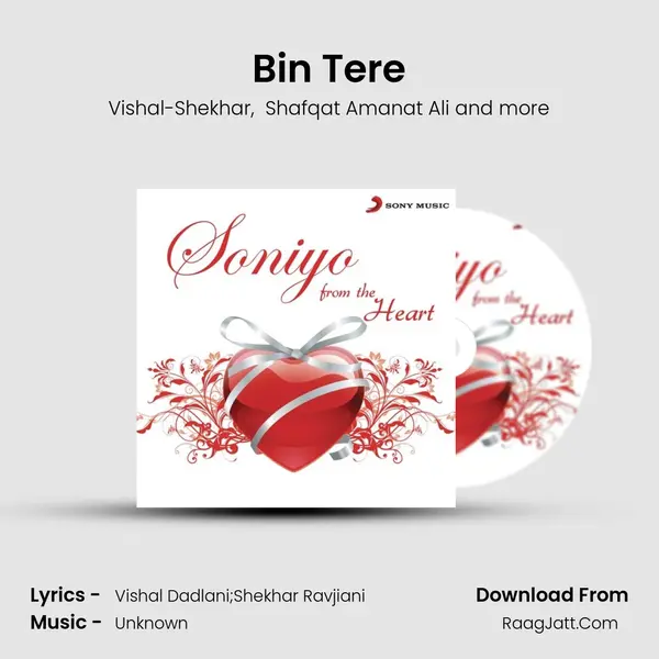 Bin Tere Cover
