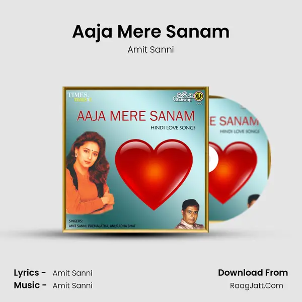 Aaja Mere Sanam MP3 Song by Amit Sanni Cover