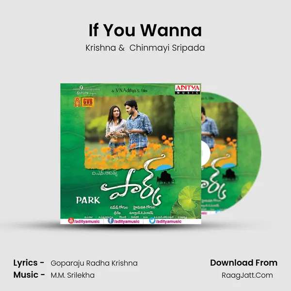 If You Wanna MP3 Song by Krishna Cover
