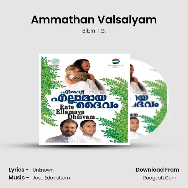 Ammathan Valsalyam MP3 Song by Bibin T.G. Cover