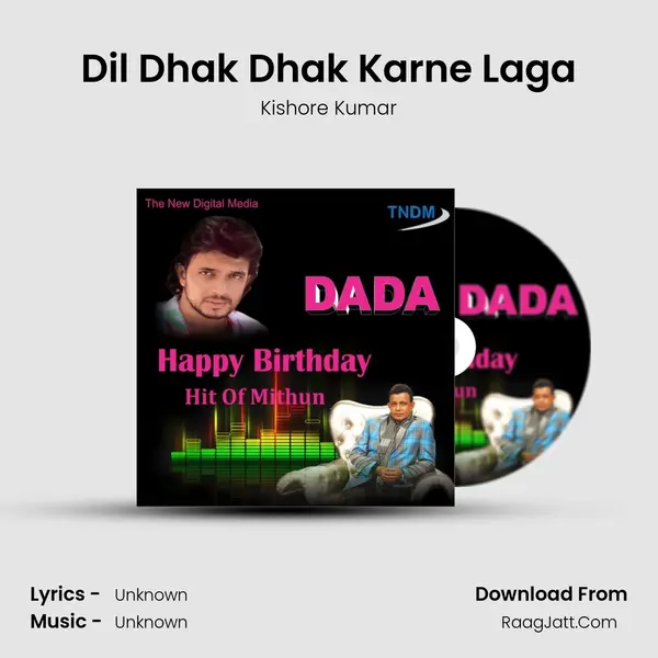 Dil Dhak Dhak Karne Laga Cover
