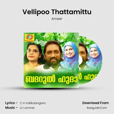 Vellipoo Thattamittu MP3 Song by Ameer Cover