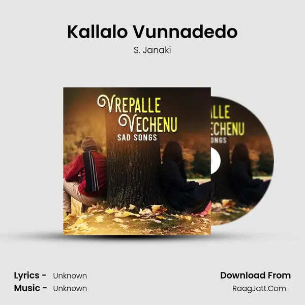 Kallalo Vunnadedo Cover