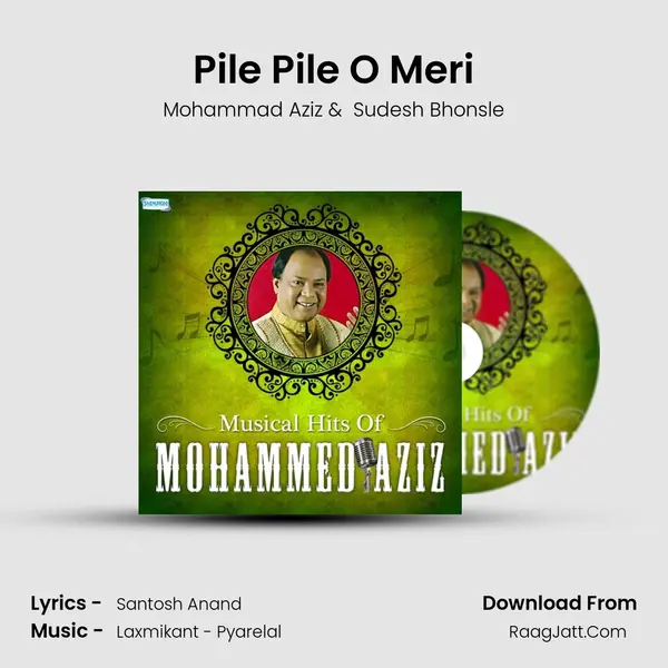 Pile Pile O Meri Cover