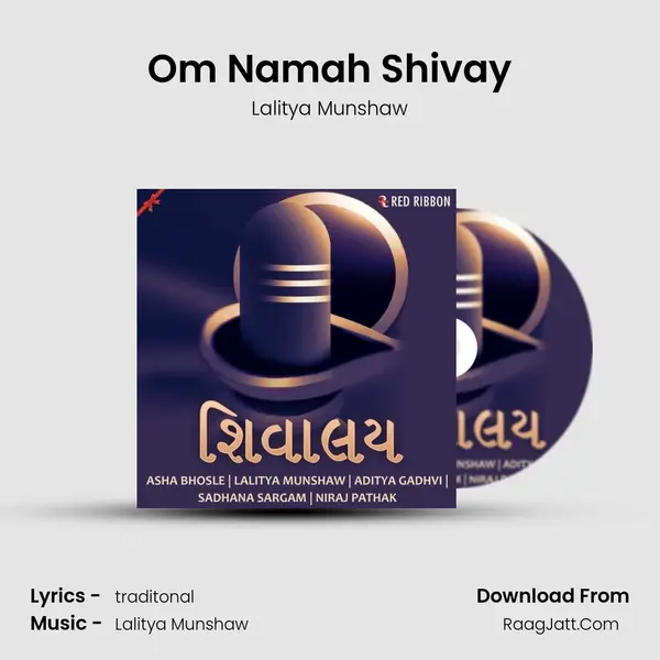 Om Namah Shivay Cover