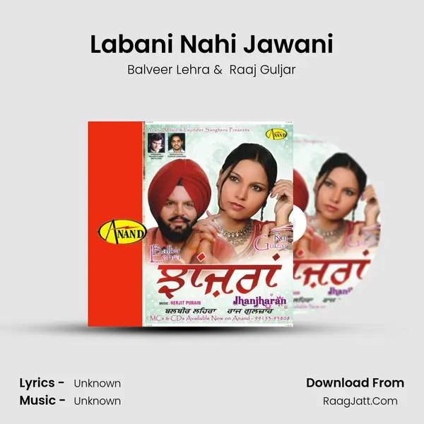 Labani Nahi Jawani MP3 Song by Balveer Lehra Cover