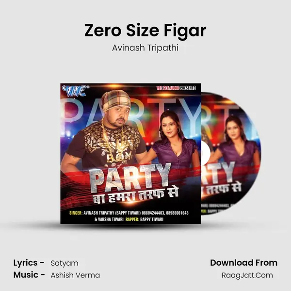 Zero Size Figar MP3 Song by Avinash Tripathi Cover