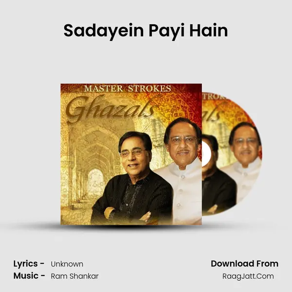 Sadayein Payi Hain MP3 Song by  Cover