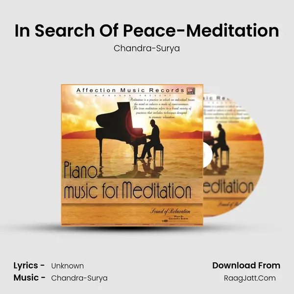 In Search Of Peace-Meditation MP3 Song by Chandra-Surya Cover
