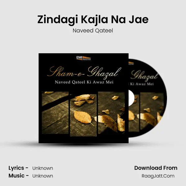 Zindagi Kajla Na Jae MP3 Song by Naveed Qateel Cover