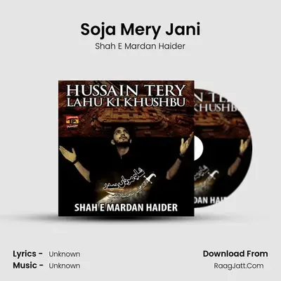 Soja Mery Jani MP3 Song by Shah E Mardan Haider Cover