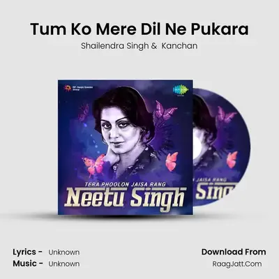 Tum Ko Mere Dil Ne Pukara MP3 Song by Shailendra Singh Cover