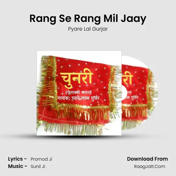 Rang Se Rang Mil Jaay MP3 Song by Pyare Lal Gurjar Cover