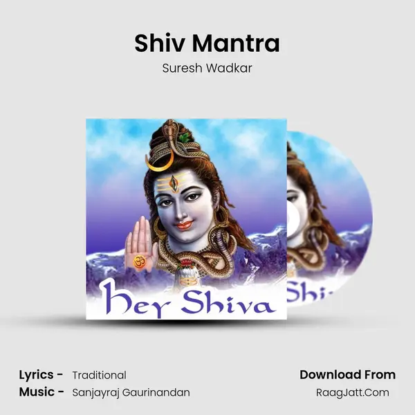 Shiv Mantra Cover