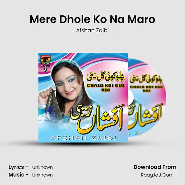 Mere Dhole Ko Na Maro MP3 Song by Afshan Zaibi Cover