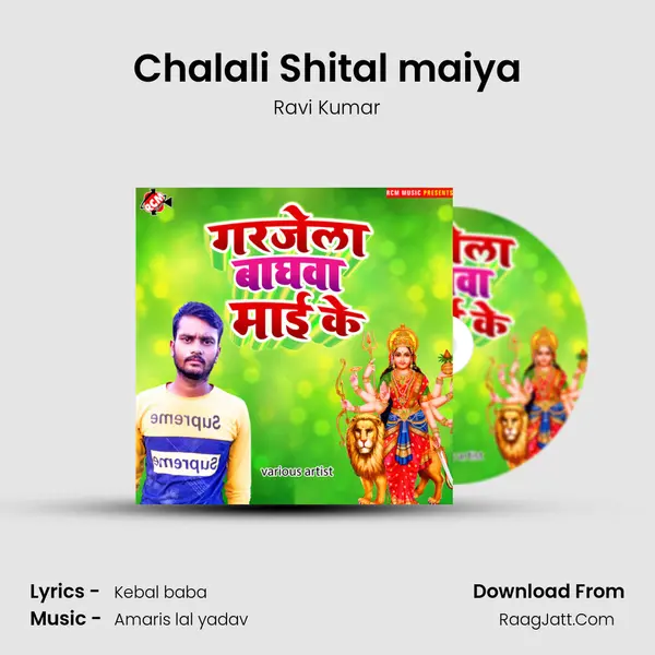 Chalali Shital maiya MP3 Song by Ravi Kumar Cover