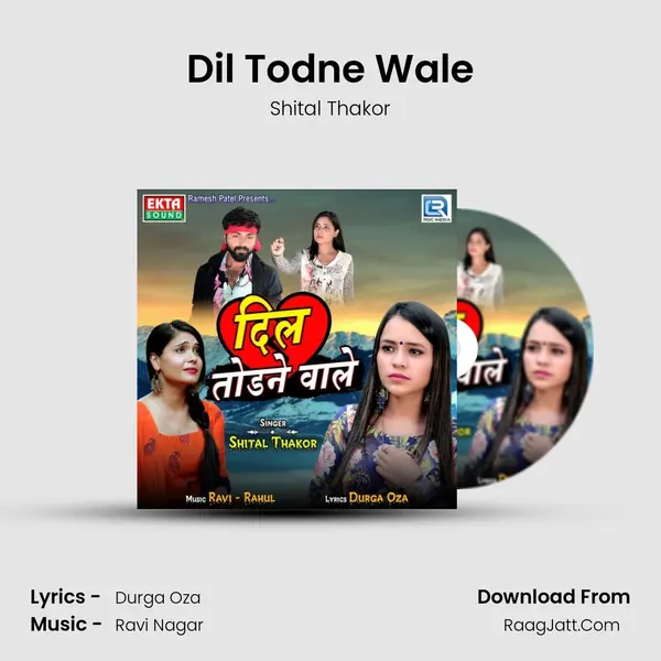 Dil Todne Wale mp3 song