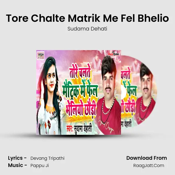Tore Chalte Matrik Me Fel Bhelio MP3 Song by Sudama Dehati Cover