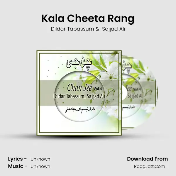 Kala Cheeta Rang MP3 Song by Dildar Tabassum Cover