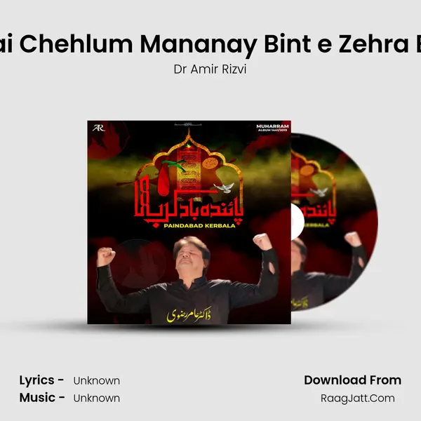 Aayi Hai Chehlum Mananay Bint e Zehra Bhai Ka MP3 Song by Dr Amir Rizvi Cover