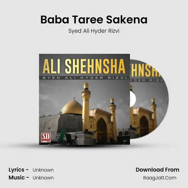 Baba Taree Sakena MP3 Song by Syed Ali Hyder Rizvi Cover