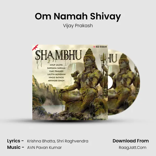 Om Namah Shivay Cover