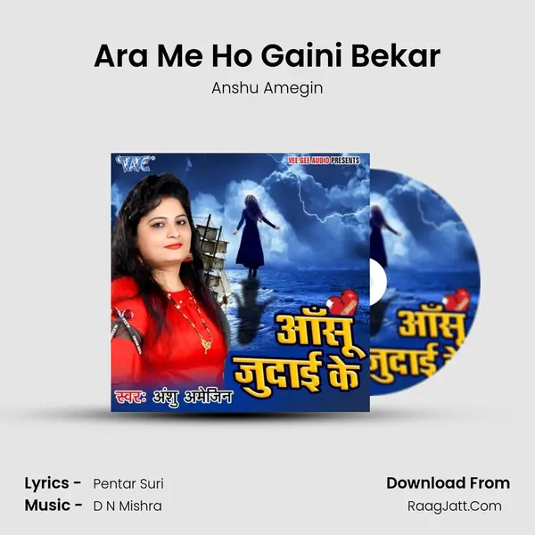Ara Me Ho Gaini Bekar MP3 Song by Anshu Amegin Cover