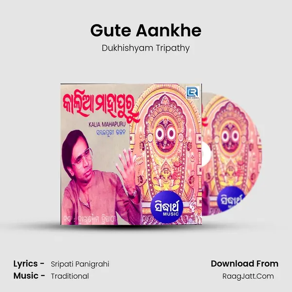 Gute Aankhe MP3 Song by Dukhishyam Tripathy Cover