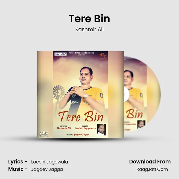 Tere Bin MP3 Song by Kashmir Ali Cover