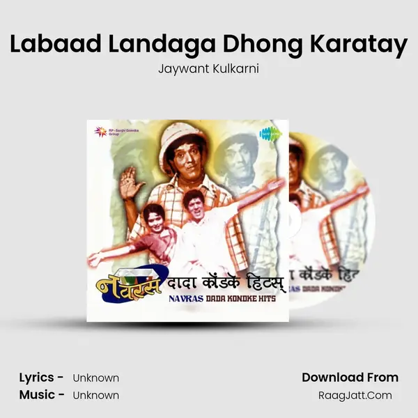 Labaad Landaga Dhong Karatay Cover