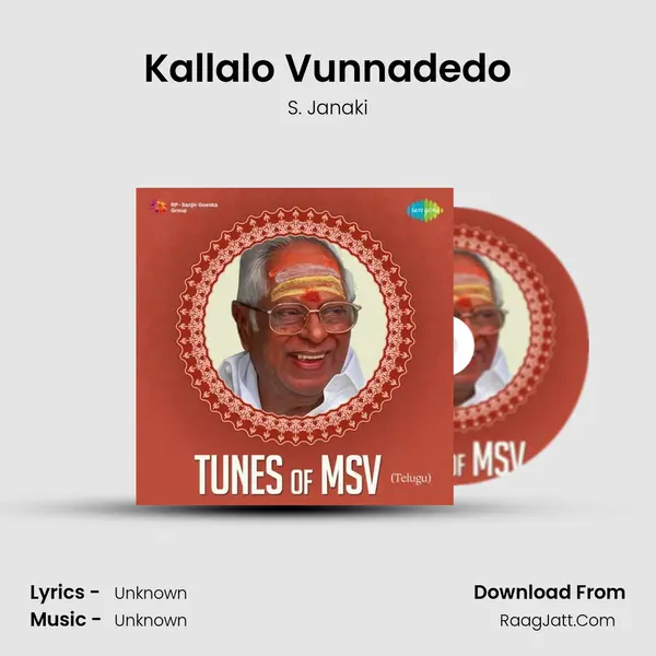 Kallalo Vunnadedo Cover