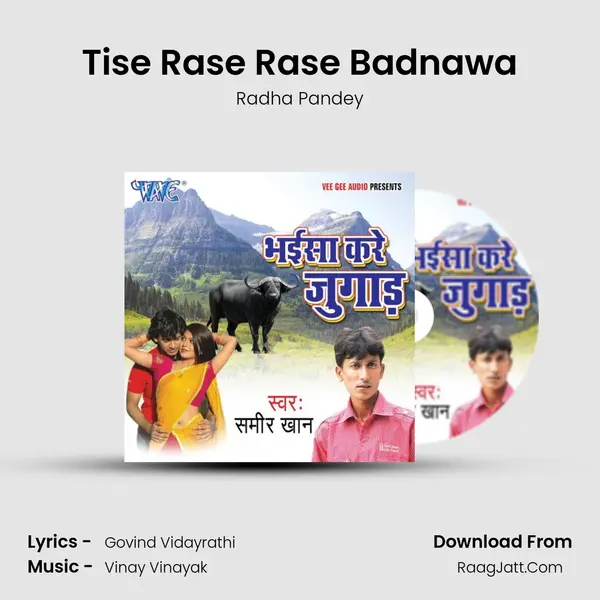 Tise Rase Rase Badnawa MP3 Song by Radha Pandey Cover