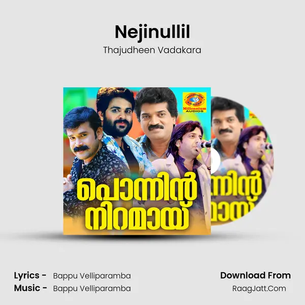 Nejinullil MP3 Song by Thajudheen Vadakara Cover