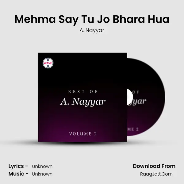 Mehma Say Tu Jo Bhara Hua MP3 Song by A. Nayyar Cover