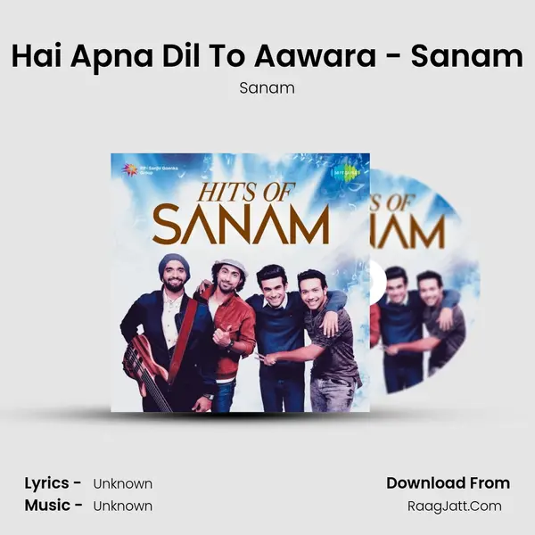 Hai Apna Dil To Aawara - Sanam Cover