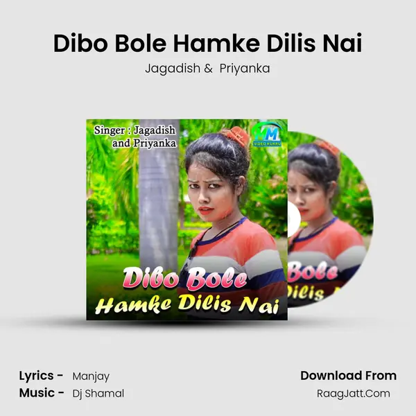 Dibo Bole Hamke Dilis Nai mp3 song