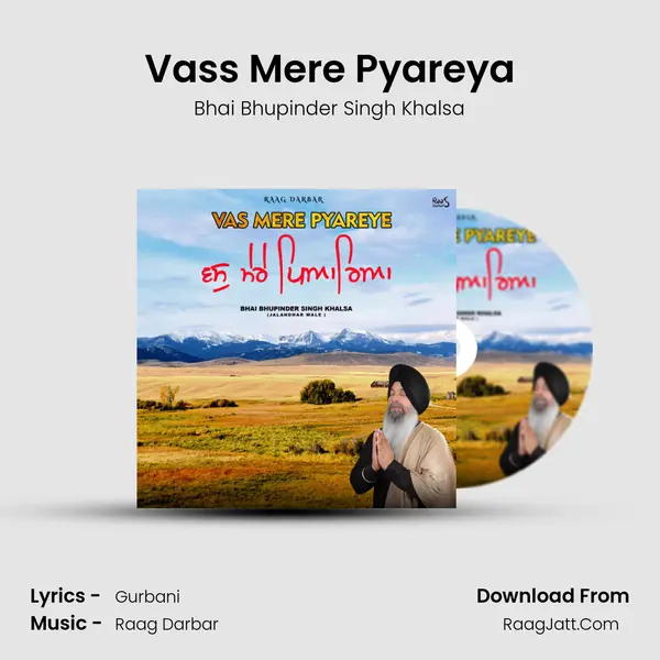 Vass Mere Pyareya Cover