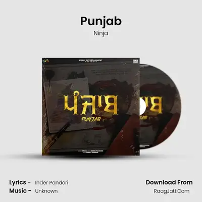 Punjab - Ninja