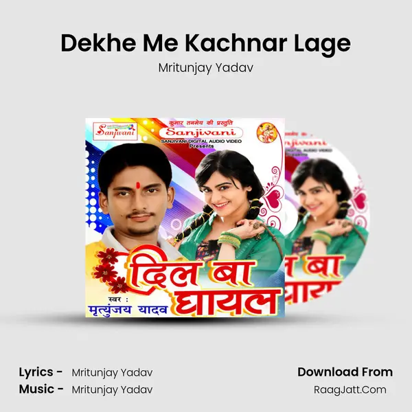 Dekhe Me Kachnar Lage mp3 song