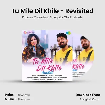 Tu Mile Dil Khile - Revisited Cover